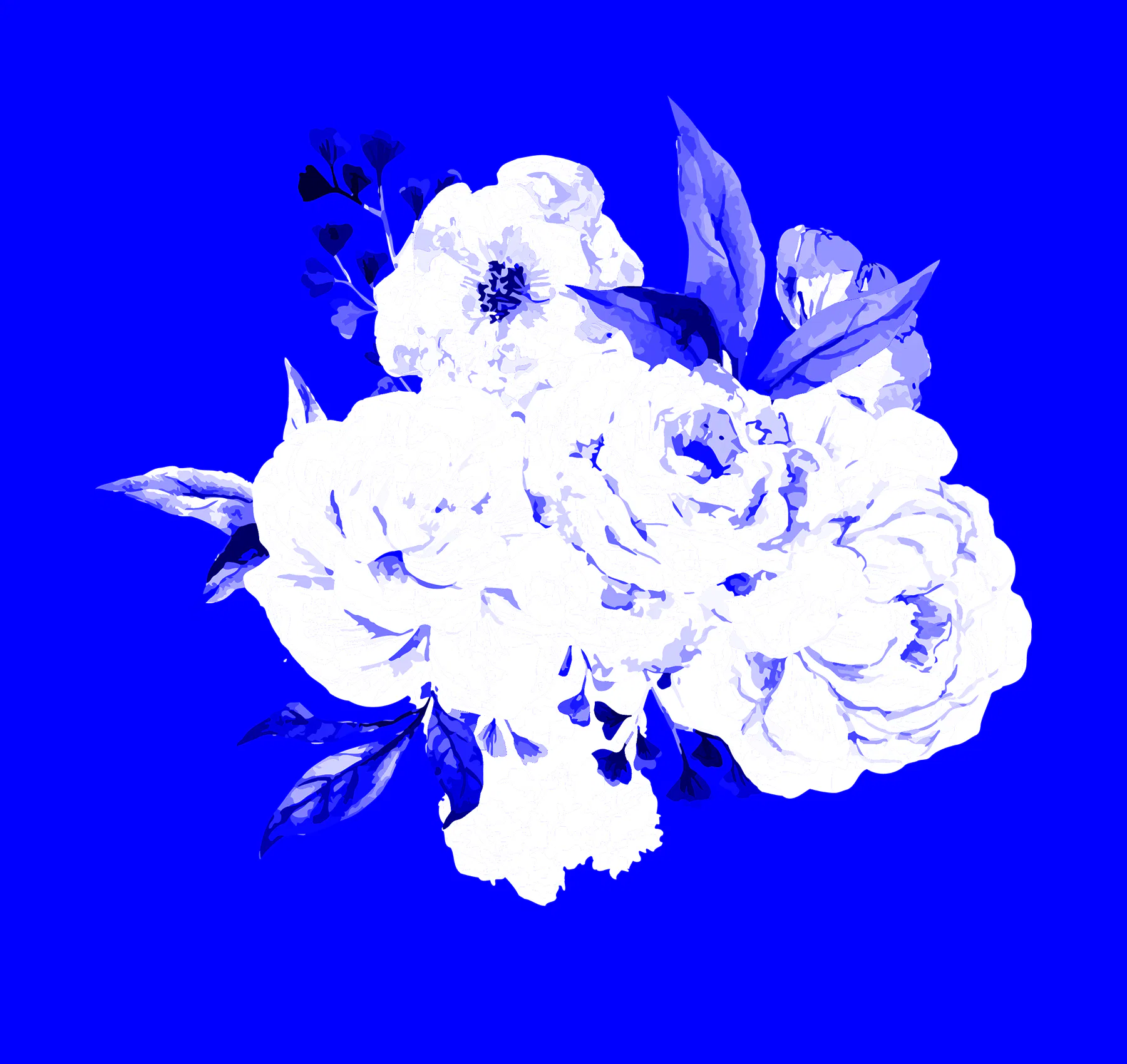 Cyanotype blue image
