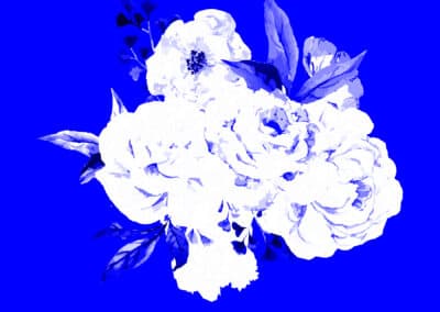 Pressed in Blue: A Summer Solstice Cyanotype Workshop June 20